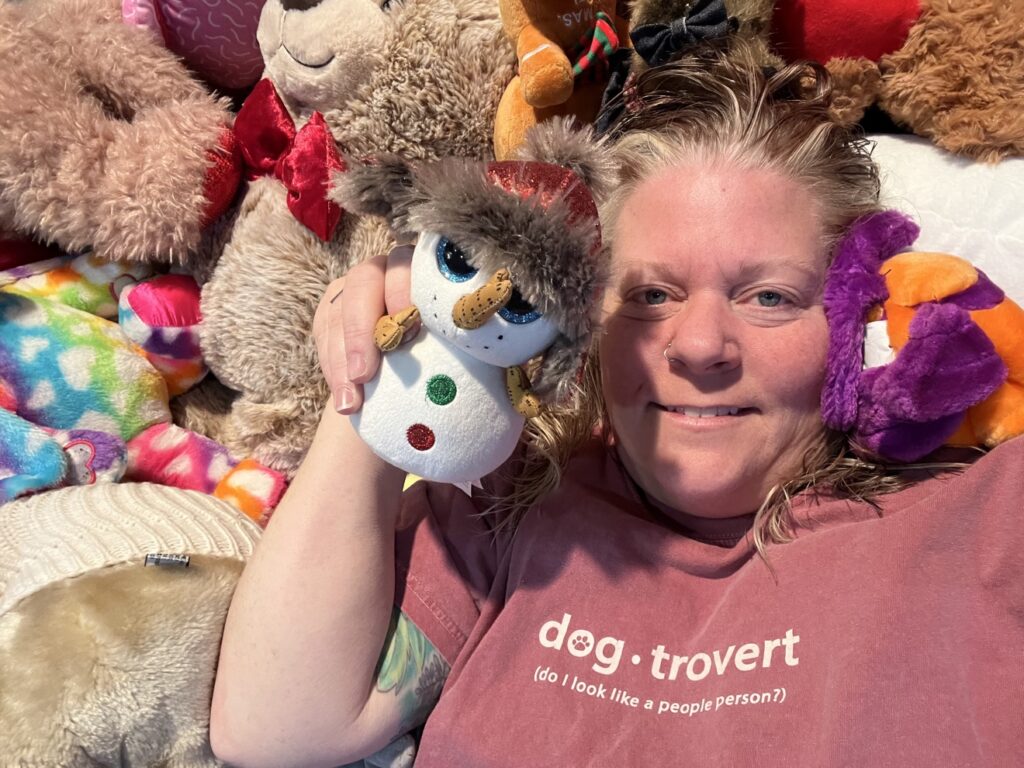 Hershey Entertainment teddy bear toss