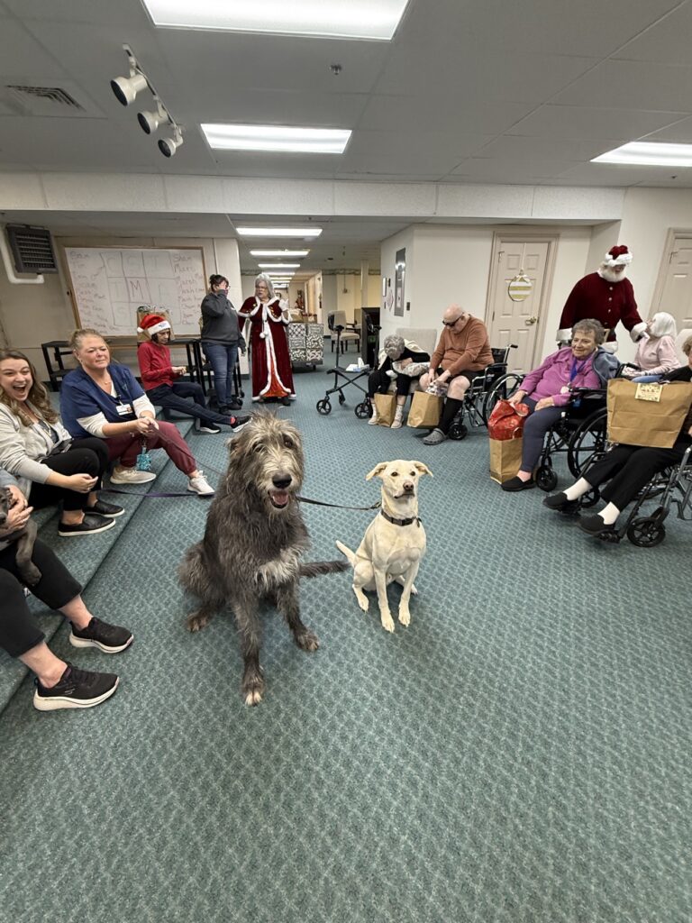 Christmas for our Elderly
