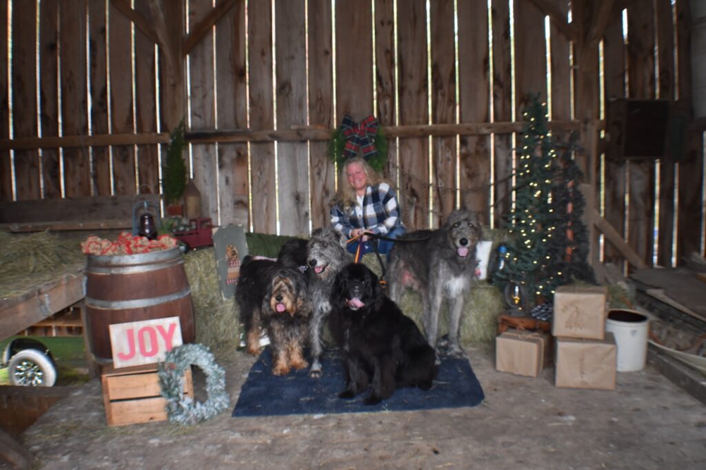 Holiday Photos fundraiser
