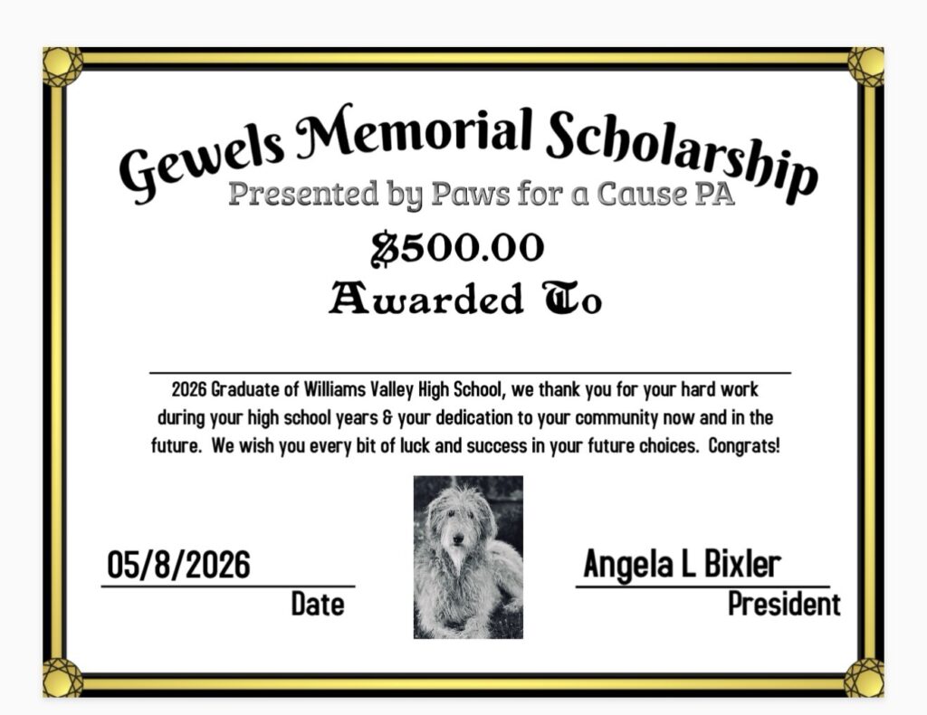 Gewels Memorial Scholarship certificate